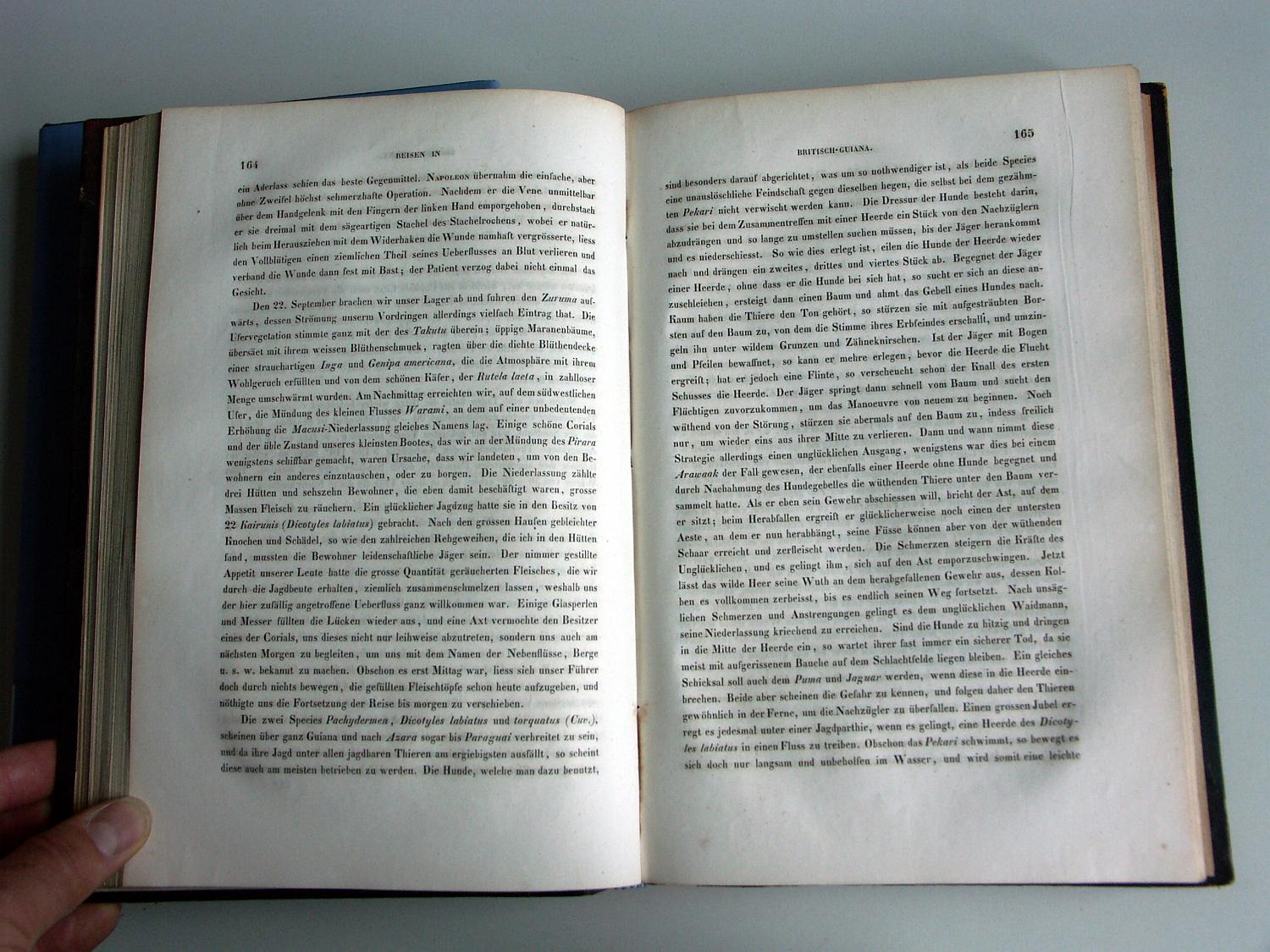 ZZ-RISC48,S.164 22.September 1842